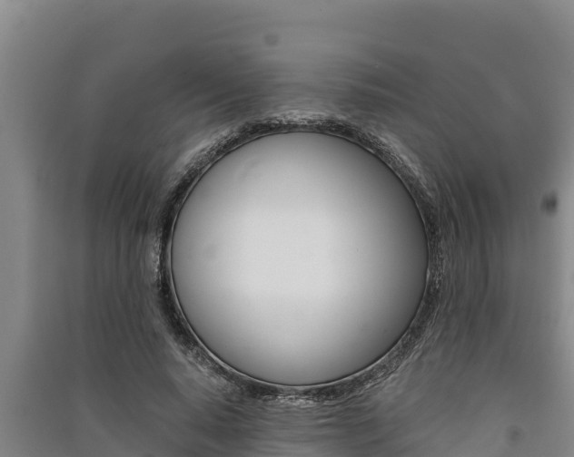 X0000091520640200708171011