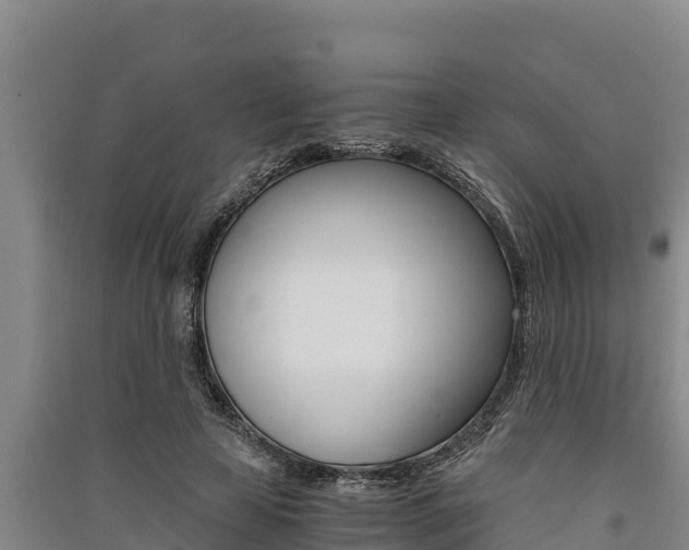 X0000091520641200708171011