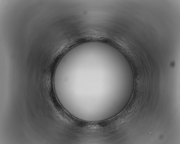 X0000091520642200708171011