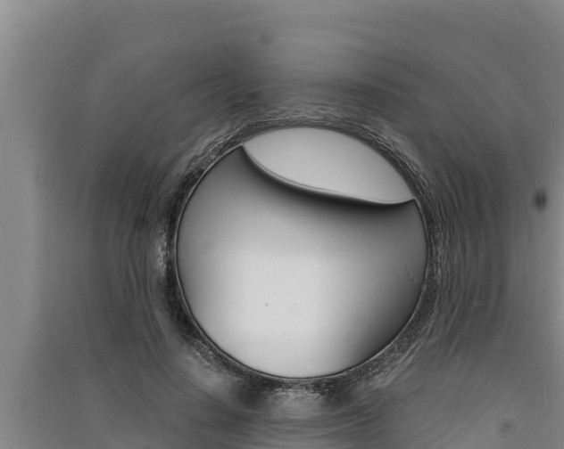 X0000091520644200708171011