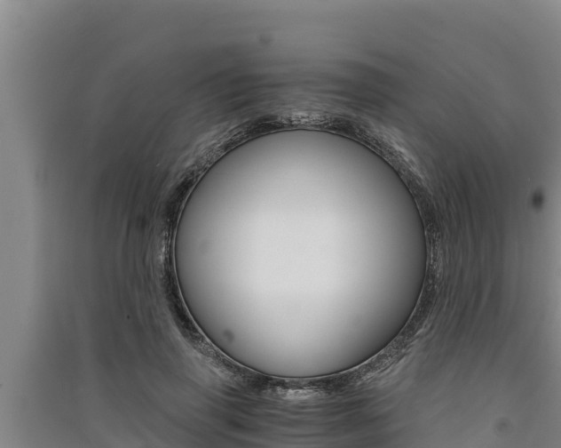 X0000091520645200708171011