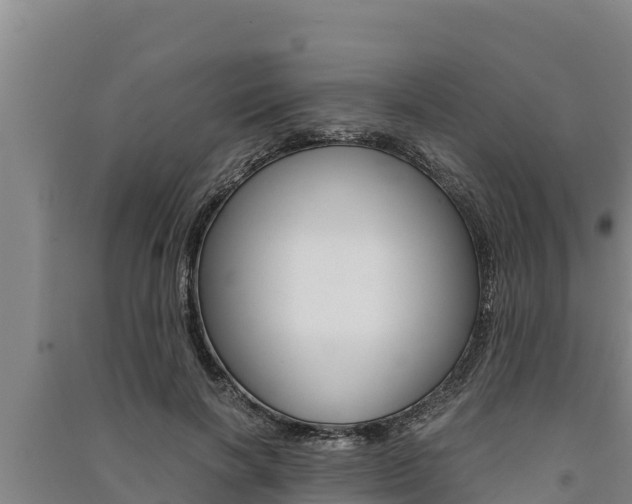 X0000091520646200708171011