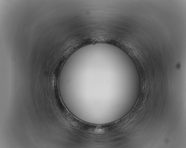 X0000091520647200708171011