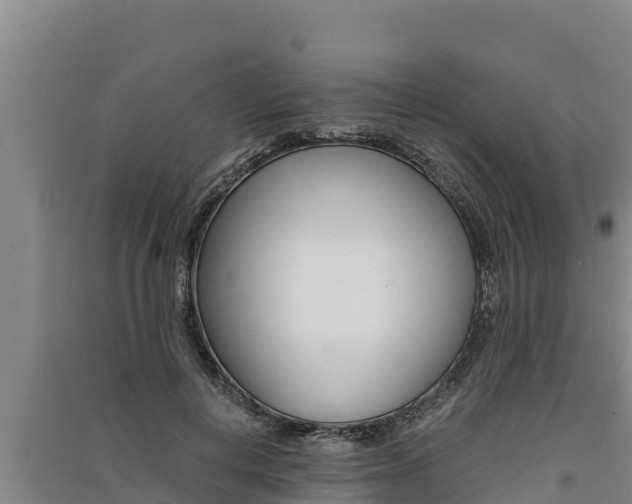 X0000091520648200708171011