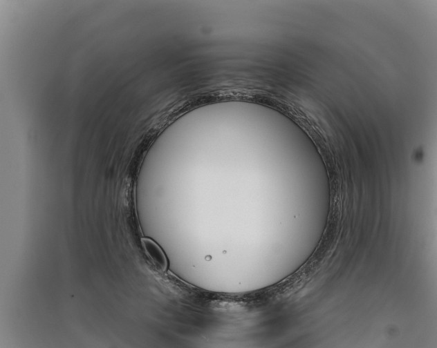 X0000091520649200708171011