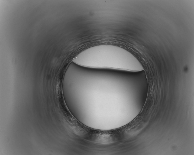 X0000091520651200708171011