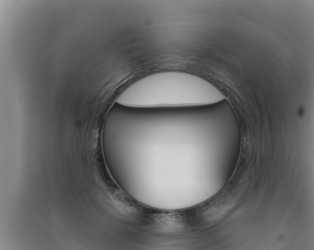 X0000091520652200708171011