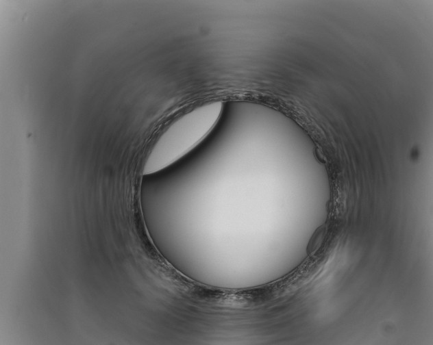 X0000091520656200708171011