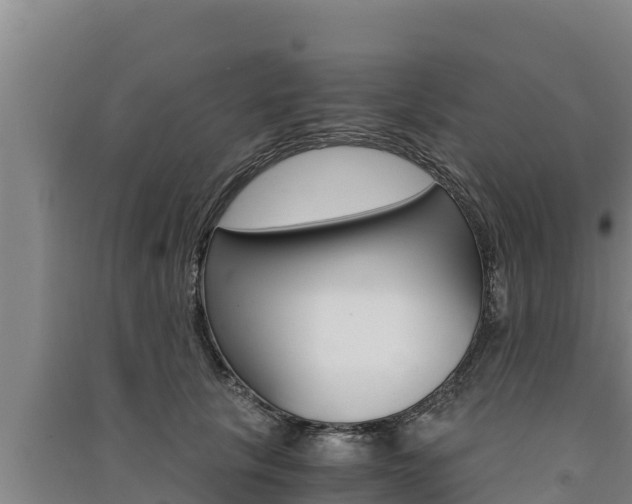 X0000091520657200708171011