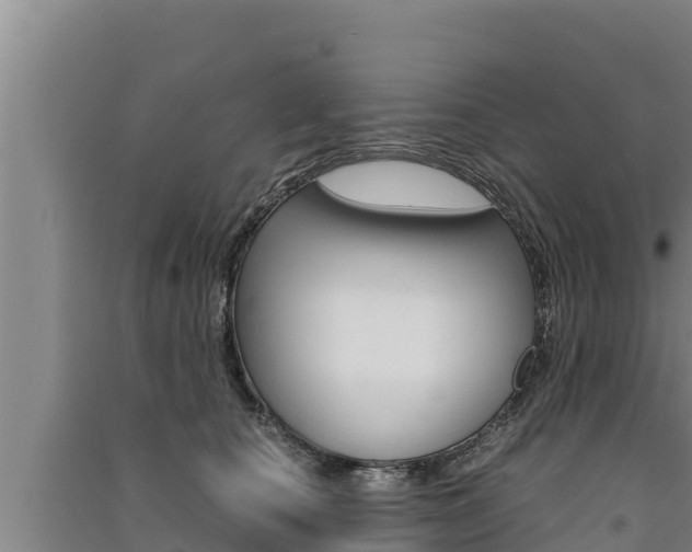 X0000091520660200708171011
