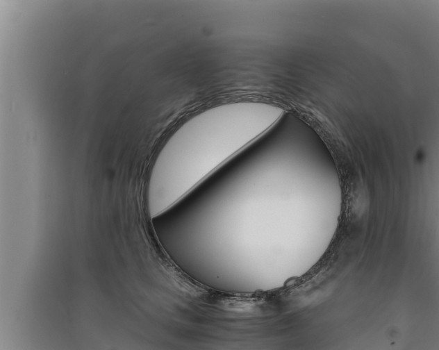 X0000091520661200708171011