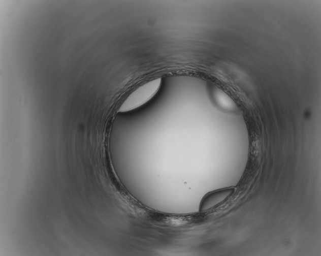 X0000091520662200708171011