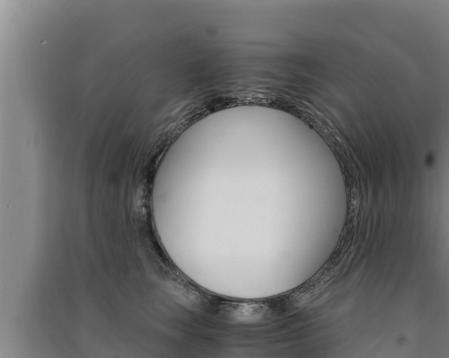 X0000091520663200708171011