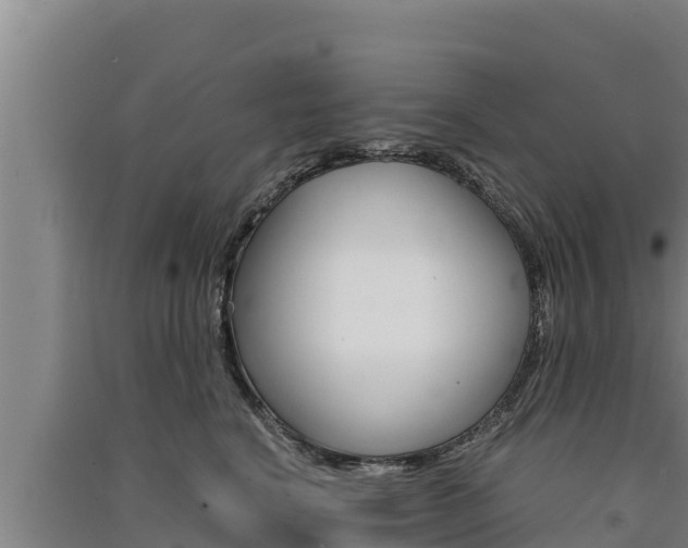 X0000091520664200708171011
