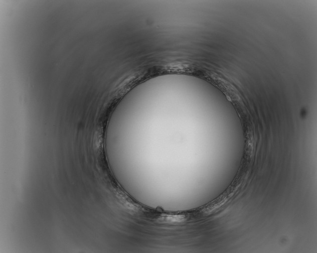 X0000091520665200708171011
