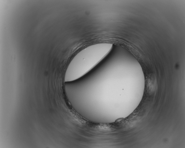 X0000091520668200708171011