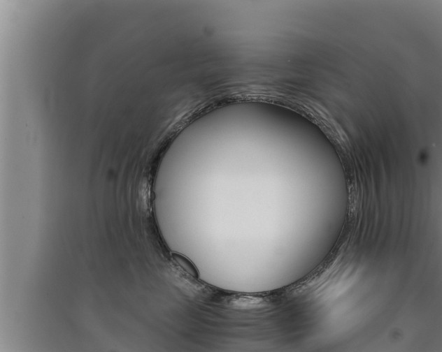 X0000091520669200708171011