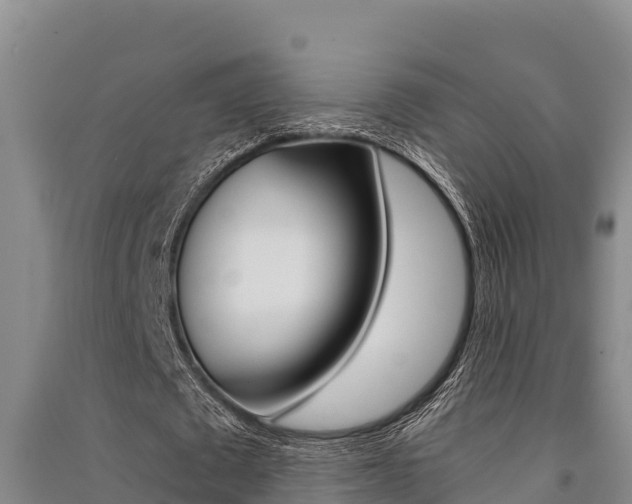 X0000091520673200708171010