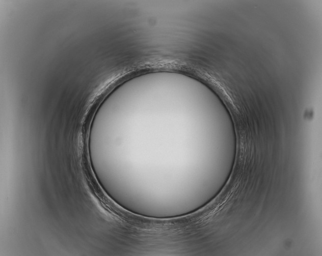 X0000091520674200708171010