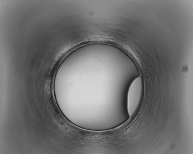 X0000091520675200708171010