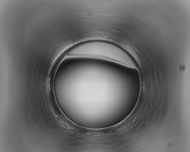 X0000091520676200708171010