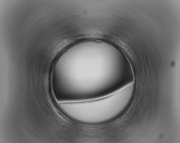 X0000091520677200708171010
