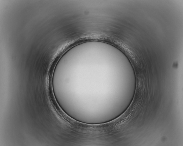 X0000091520678200708171010