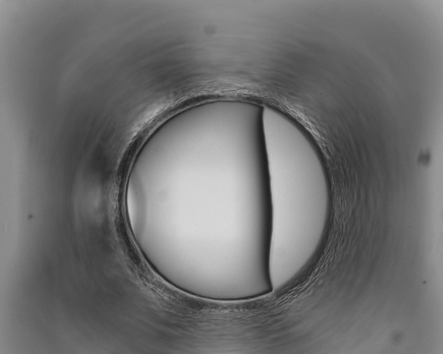 X0000091520679200708171010