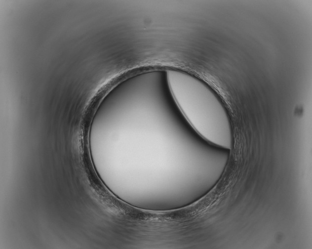 X0000091520680200708171010