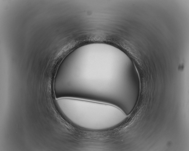 X0000091520681200708171010