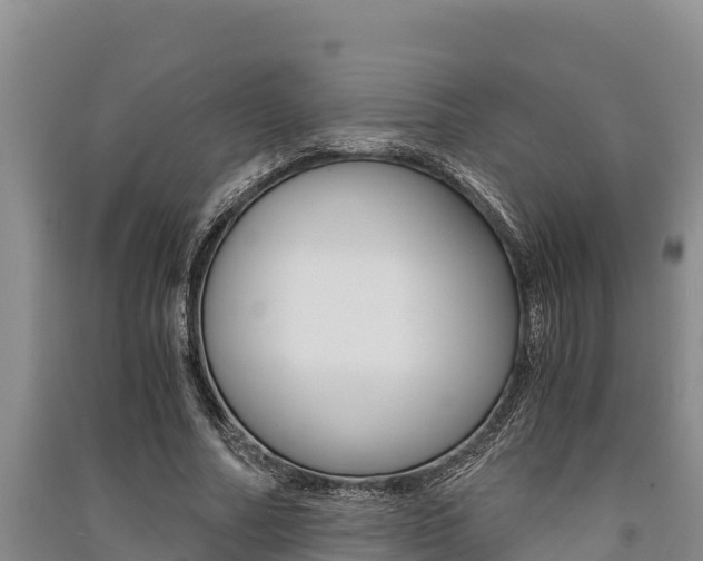 X0000091520682200708171010