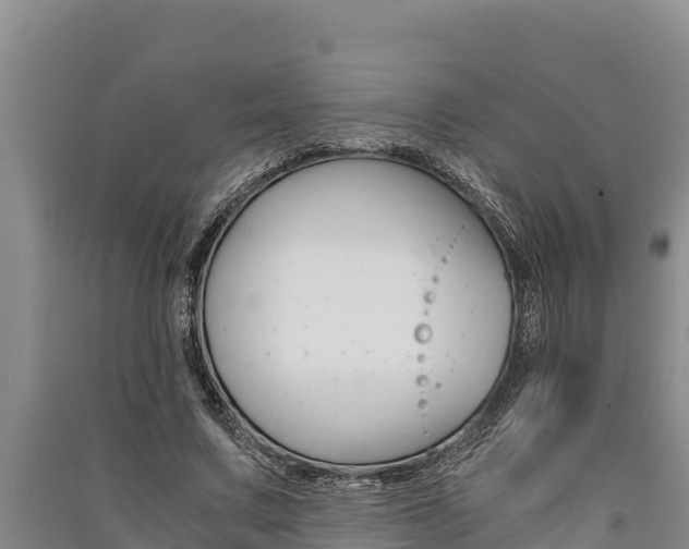 X0000091520683200708171010