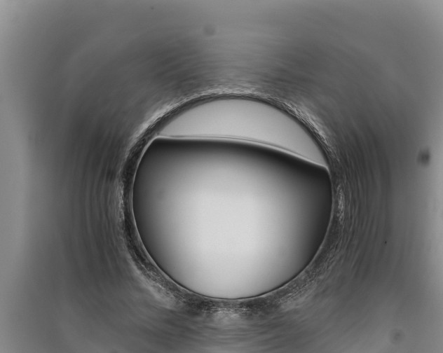 X0000091520684200708171010