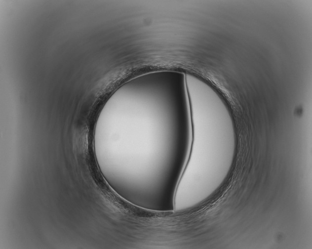 X0000091520685200708171010