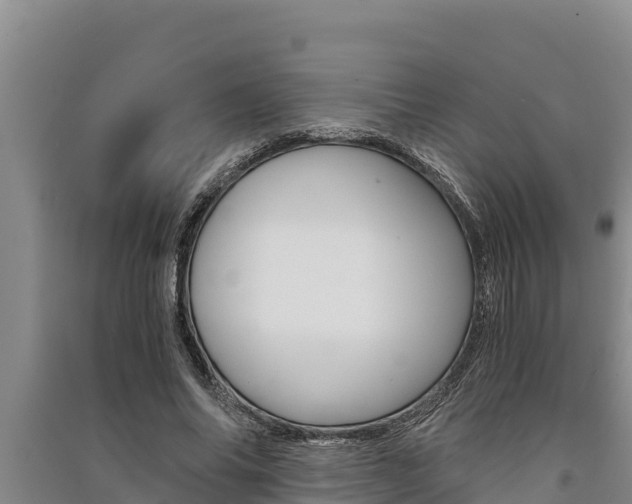 X0000091520686200708171010