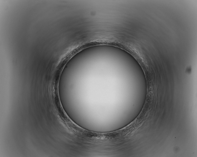 X0000091520688200708171010