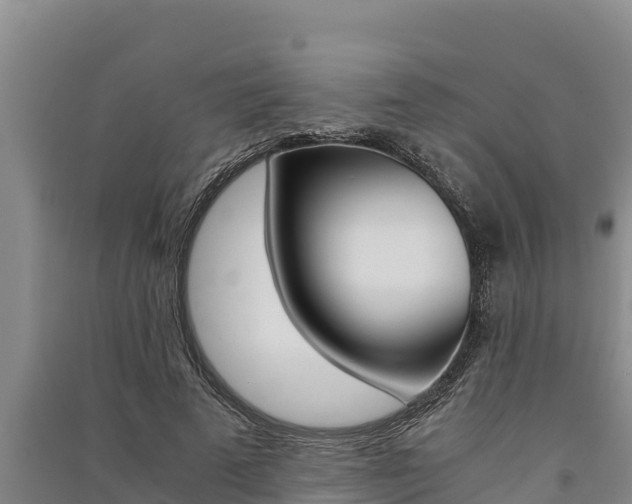 X0000091520689200708171010