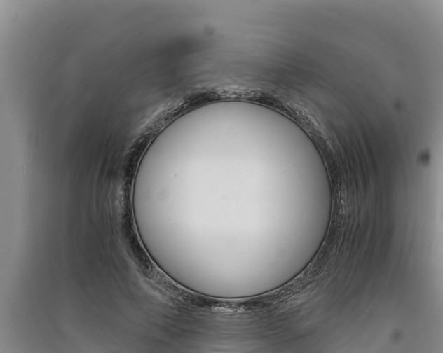 X0000091520690200708171010