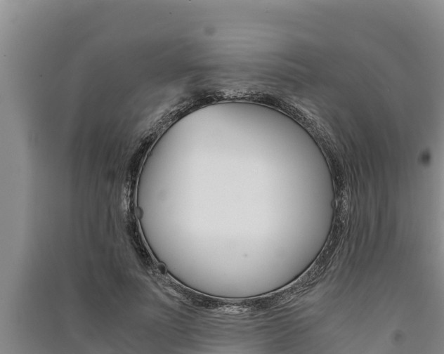 X0000091520691200708171010