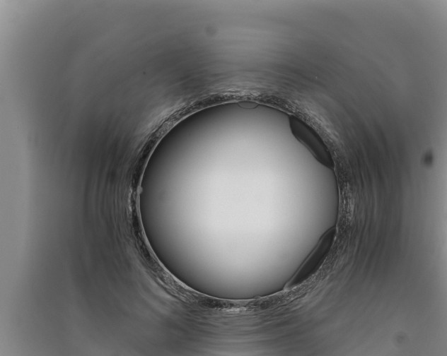 X0000091520692200708171010