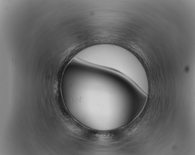 X0000091520693200708171010