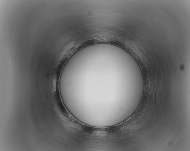 X0000091520694200708171010