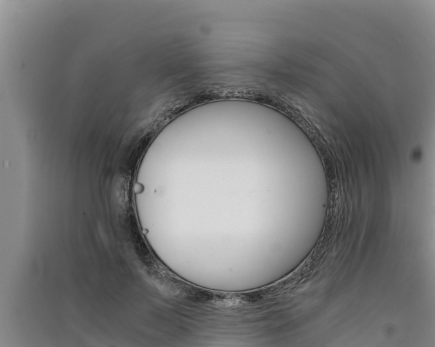 X0000091520695200708171010