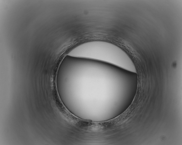 X0000091520696200708171010