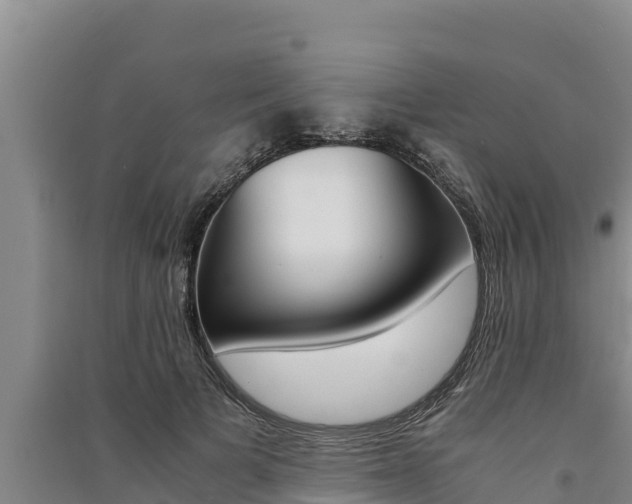 X0000091520697200708171010