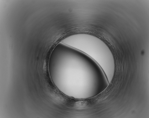 X0000091520700200708171010