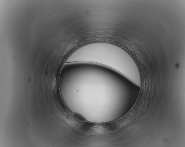 X0000091520704200708171010