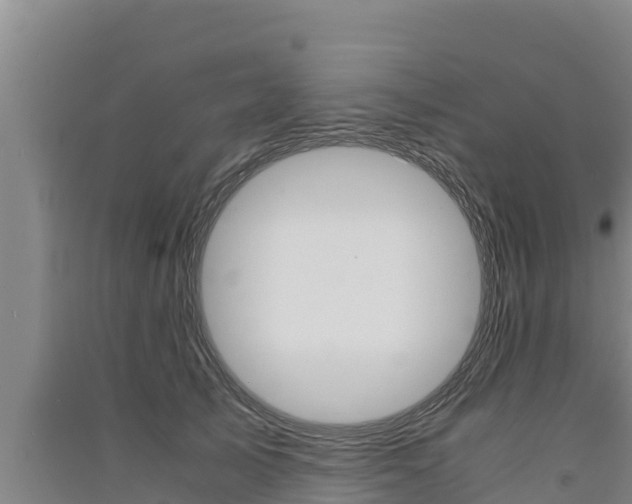 X0000091520705200708171010