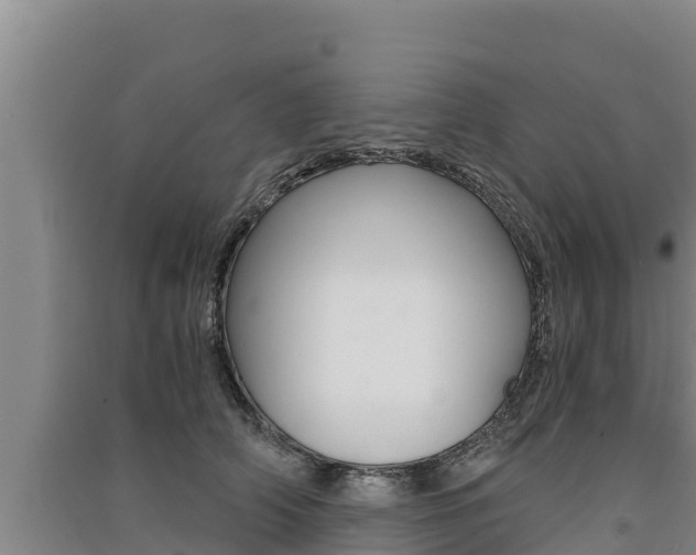 X0000091520706200708171010