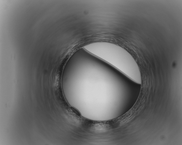 X0000091520708200708171010